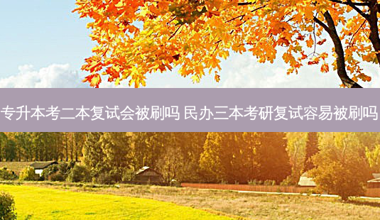 专升本考二本复试会被刷吗 民办三本考研复试容易被刷吗-第1张图片-天智网 专升本考二本复试会被刷吗 民办三本考研复试容易被刷吗-第1张图片-天智网