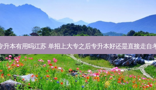 单招自考专升本有用吗江苏 单招上大专之后专升本好还是直接走自考本科好啊-第1张图片-天智网 单招自考专升本有用吗江苏 单招上大专之后专升本好还是直接走自考本科好啊-第1张图片-天智网