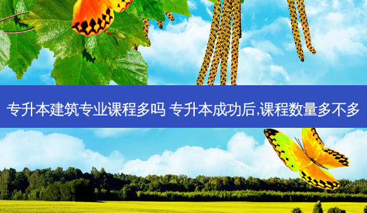 专升本建筑专业课程多吗 专升本成功后,课程数量多不多-第1张图片-天智网 专升本建筑专业课程多吗 专升本成功后,课程数量多不多-第1张图片-天智网