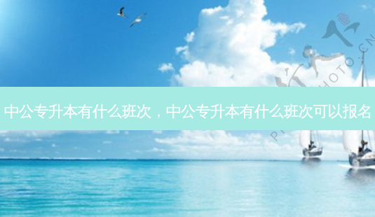中公专升本有什么班次,中公专升本有什么班次可以报名-第1张图片-天智网 中公专升本有什么班次,中公专升本有什么班次可以报名-第1张图片-天智网