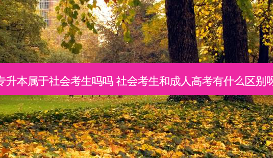 专升本属于社会考生吗吗 社会考生和成人高考有什么区别呀-第1张图片-天智网 专升本属于社会考生吗吗 社会考生和成人高考有什么区别呀-第1张图片-天智网