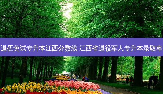退伍免试专升本江西分数线 江西省退役军人专升本录取率-第1张图片-天智网 退伍免试专升本江西分数线 江西省退役军人专升本录取率-第1张图片-天智网