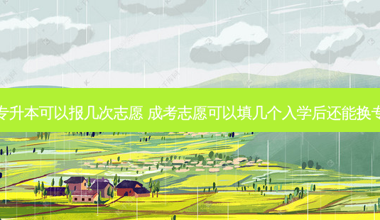 成考专升本可以报几次志愿 成考志愿可以填几个入学后还能换专业吗-第1张图片-天智网 成考专升本可以报几次志愿 成考志愿可以填几个入学后还能换专业吗-第1张图片-天智网