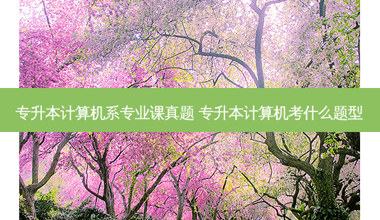 专升本计算机系专业课真题 专升本计算机考什么题型-第1张图片-天智网 专升本计算机系专业课真题 专升本计算机考什么题型-第1张图片-天智网