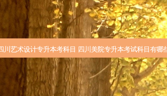 四川艺术设计专升本考科目 四川美院专升本考试科目有哪些-第1张图片-天智网 四川艺术设计专升本考科目 四川美院专升本考试科目有哪些-第1张图片-天智网