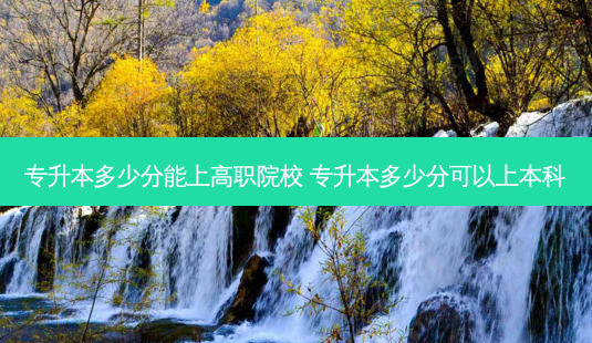专升本多少分能上高职院校 专升本多少分可以上本科-第1张图片-天智网 专升本多少分能上高职院校 专升本多少分可以上本科-第1张图片-天智网