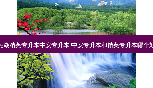 芜湖精英专升本中安专升本 中安专升本和精英专升本哪个好-第1张图片-天智网