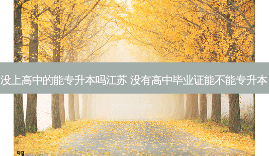 没上高中的能专升本吗江苏 没有高中毕业证能不能专升本-第1张图片-天智网 没上高中的能专升本吗江苏 没有高中毕业证能不能专升本-第1张图片-天智网