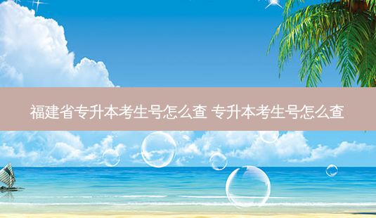 福建省专升本考生号怎么查 专升本考生号怎么查-第1张图片-天智网 福建省专升本考生号怎么查 专升本考生号怎么查-第1张图片-天智网
