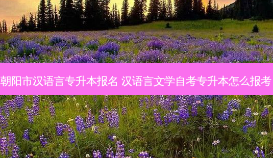 朝阳市汉语言专升本报名 汉语言文学自考专升本怎么报考-第1张图片-天智网 朝阳市汉语言专升本报名 汉语言文学自考专升本怎么报考-第1张图片-天智网