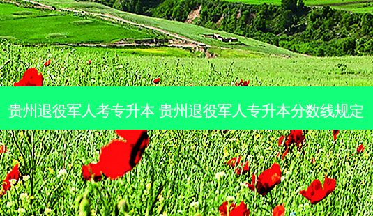 贵州退役军人考专升本 贵州退役军人专升本分数线规定-第1张图片-天智网 贵州退役军人考专升本 贵州退役军人专升本分数线规定-第1张图片-天智网