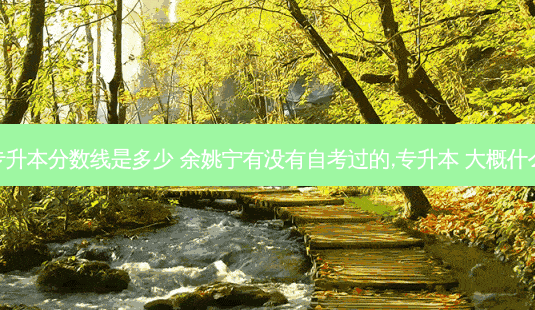 余姚专升本分数线是多少 余姚宁有没有自考过的,专升本 大概什么流程-第1张图片-天智网 余姚专升本分数线是多少 余姚宁有没有自考过的,专升本 大概什么流程-第1张图片-天智网