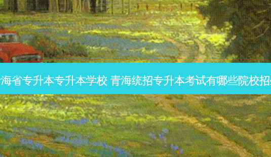 青海省专升本专升本学校 青海统招专升本考试有哪些院校招生-第1张图片-天智网 青海省专升本专升本学校 青海统招专升本考试有哪些院校招生-第1张图片-天智网