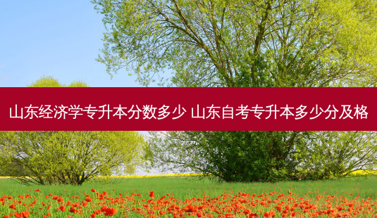 山东经济学专升本分数多少 山东自考专升本多少分及格-第1张图片-天智网 山东经济学专升本分数多少 山东自考专升本多少分及格-第1张图片-天智网