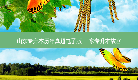 山东专升本历年真题电子版 山东专升本故宫-第1张图片-天智网 山东专升本历年真题电子版 山东专升本故宫-第1张图片-天智网