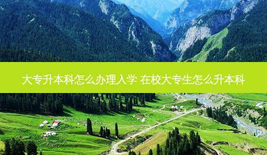 大专升本科怎么办理入学 在校大专生怎么升本科-第1张图片-天智网 大专升本科怎么办理入学 在校大专生怎么升本科-第1张图片-天智网