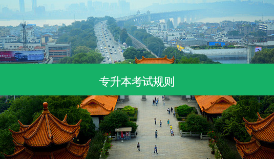 专升本考试规则-第1张图片-天智网 专升本考试规则-第1张图片-天智网