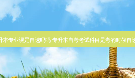 专升本专业课是自选吗吗 专升本自考考试科目是考的时候自选吗-第1张图片-天智网 专升本专业课是自选吗吗 专升本自考考试科目是考的时候自选吗-第1张图片-天智网