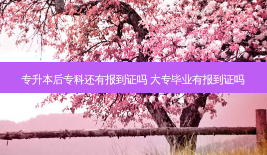 专升本后专科还有报到证吗 大专毕业有报到证吗-第1张图片-天智网 专升本后专科还有报到证吗 大专毕业有报到证吗-第1张图片-天智网