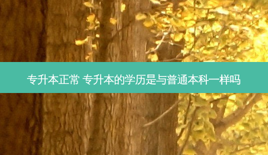 专升本正常 专升本的学历是与普通本科一样吗-第1张图片-天智网 专升本正常 专升本的学历是与普通本科一样吗-第1张图片-天智网