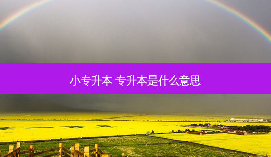 小专升本 专升本是什么意思-第1张图片-天智网 小专升本 专升本是什么意思-第1张图片-天智网
