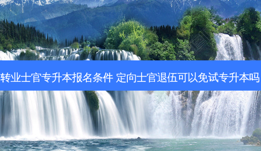 转业士官专升本报名条件 定向士官退伍可以免试专升本吗-第1张图片-天智网 转业士官专升本报名条件 定向士官退伍可以免试专升本吗-第1张图片-天智网