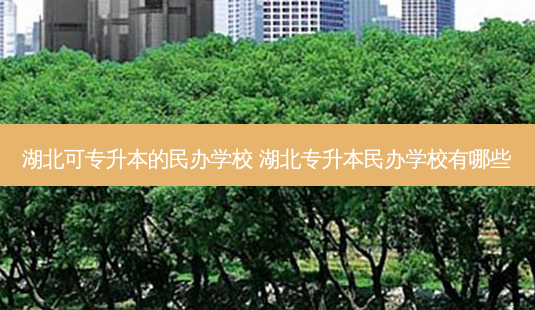 湖北可专升本的民办学校 湖北专升本民办学校有哪些-第1张图片-天智网 湖北可专升本的民办学校 湖北专升本民办学校有哪些-第1张图片-天智网