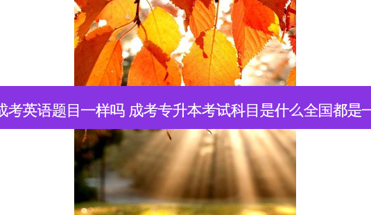 专升本成考英语题目一样吗 成考专升本考试科目是什么全国都是一样的吗-第1张图片-天智网 专升本成考英语题目一样吗 成考专升本考试科目是什么全国都是一样的吗-第1张图片-天智网