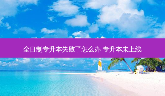 全日制专升本失败了怎么办 专升本未上线-第1张图片-天智网 全日制专升本失败了怎么办 专升本未上线-第1张图片-天智网