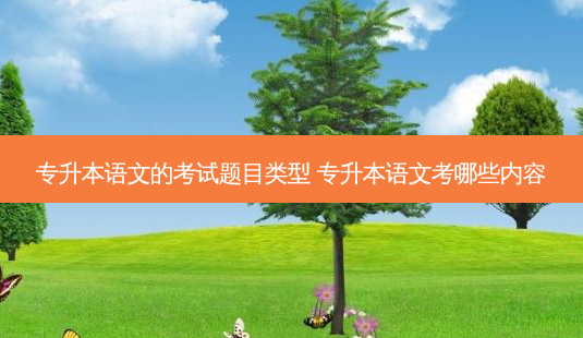 专升本语文的考试题目类型 专升本语文考哪些内容-第1张图片-天智网 专升本语文的考试题目类型 专升本语文考哪些内容-第1张图片-天智网
