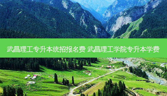 武昌理工专升本统招报名费 武昌理工学院专升本学费-第1张图片-天智网 武昌理工专升本统招报名费 武昌理工学院专升本学费-第1张图片-天智网