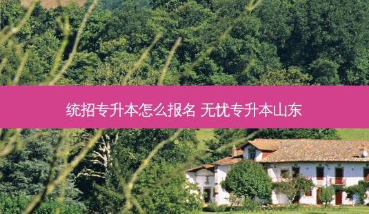 统招专升本怎么报名 无忧专升本山东-第1张图片-天智网 统招专升本怎么报名 无忧专升本山东-第1张图片-天智网