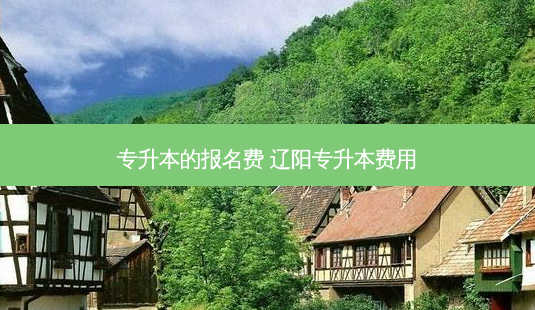 专升本的报名费 辽阳专升本费用-第1张图片-天智网 专升本的报名费 辽阳专升本费用-第1张图片-天智网