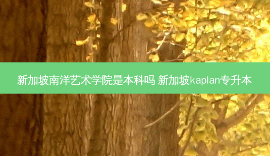 新加坡南洋艺术学院是本科吗 新加坡kaplan专升本-第1张图片-天智网 新加坡南洋艺术学院是本科吗 新加坡kaplan专升本-第1张图片-天智网