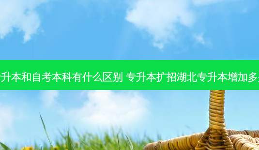 专升本和自考本科有什么区别 专升本扩招湖北专升本增加多少-第1张图片-天智网 专升本和自考本科有什么区别 专升本扩招湖北专升本增加多少-第1张图片-天智网