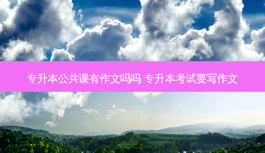 专升本公共课有作文吗吗 专升本考试要写作文-第1张图片-天智网 专升本公共课有作文吗吗 专升本考试要写作文-第1张图片-天智网