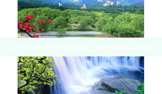 山东专升本能跨专业补录吗 山东专升本可以补录吗-第1张图片-天智网 山东专升本能跨专业补录吗 山东专升本可以补录吗-第1张图片-天智网
