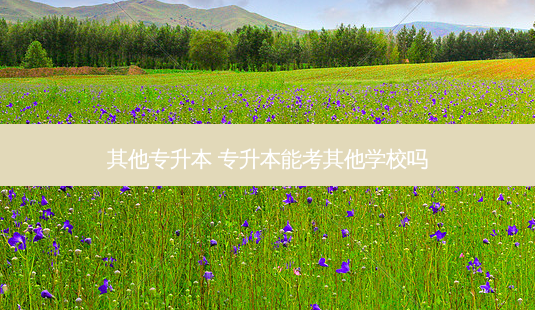 其他专升本 专升本能考其他学校吗-第1张图片-天智网
