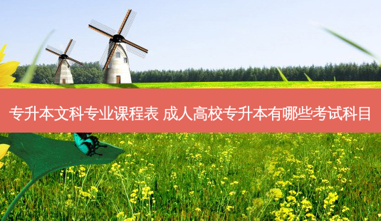 专升本文科专业课程表 成人高校专升本有哪些考试科目-第1张图片-天智网 专升本文科专业课程表 成人高校专升本有哪些考试科目-第1张图片-天智网