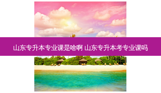 山东专升本专业课是啥啊 山东专升本考专业课吗-第1张图片-天智网 山东专升本专业课是啥啊 山东专升本考专业课吗-第1张图片-天智网