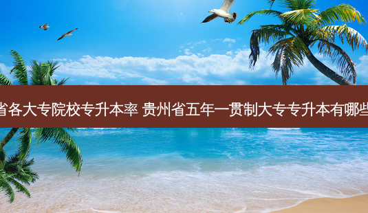 贵州省各大专院校专升本率 贵州省五年一贯制大专专升本有哪些院校-第1张图片-天智网 贵州省各大专院校专升本率 贵州省五年一贯制大专专升本有哪些院校-第1张图片-天智网