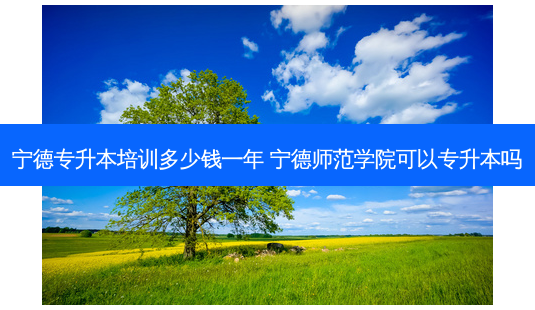 宁德专升本培训多少钱一年 宁德师范学院可以专升本吗-第1张图片-天智网 宁德专升本培训多少钱一年 宁德师范学院可以专升本吗-第1张图片-天智网