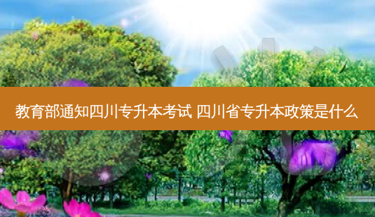 教育部通知四川专升本考试 四川省专升本政策是什么-第1张图片-天智网 教育部通知四川专升本考试 四川省专升本政策是什么-第1张图片-天智网
