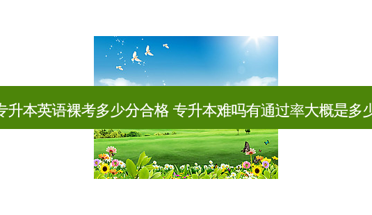 专升本英语裸考多少分合格 专升本难吗有通过率大概是多少-第1张图片-天智网 专升本英语裸考多少分合格 专升本难吗有通过率大概是多少-第1张图片-天智网