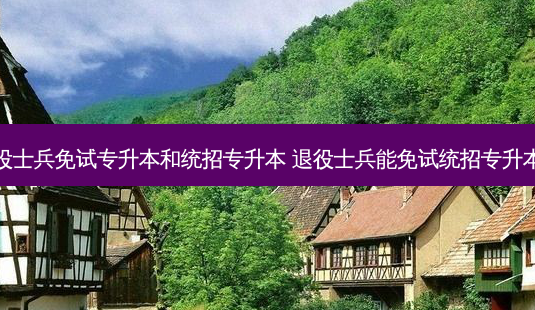 退役士兵免试专升本和统招专升本 退役士兵能免试统招专升本吗-第1张图片-天智网 退役士兵免试专升本和统招专升本 退役士兵能免试统招专升本吗-第1张图片-天智网