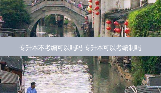 专升本不考编可以吗吗 专升本可以考编制吗-第1张图片-天智网 专升本不考编可以吗吗 专升本可以考编制吗-第1张图片-天智网