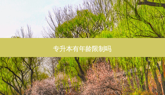 专升本有年龄限制吗-第1张图片-天智网 专升本有年龄限制吗-第1张图片-天智网