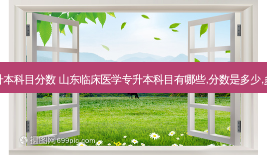 山东医学类专升本科目分数 山东临床医学专升本科目有哪些,分数是多少,多少分可以录取-第1张图片-天智网 山东医学类专升本科目分数 山东临床医学专升本科目有哪些,分数是多少,多少分可以录取-第1张图片-天智网