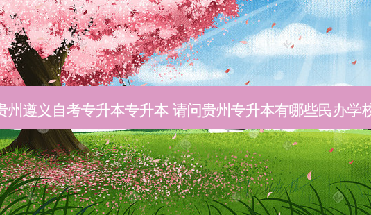 贵州遵义自考专升本专升本 请问贵州专升本有哪些民办学校-第1张图片-天智网 贵州遵义自考专升本专升本 请问贵州专升本有哪些民办学校-第1张图片-天智网
