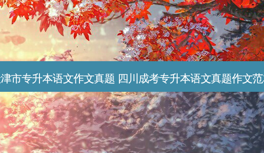 天津市专升本语文作文真题 四川成考专升本语文真题作文范本-第1张图片-天智网 天津市专升本语文作文真题 四川成考专升本语文真题作文范本-第1张图片-天智网